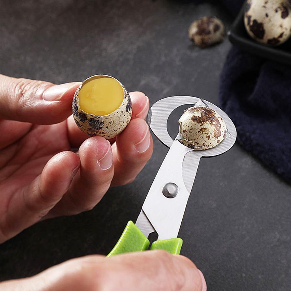 Alat pemisah cangkang telur bu - Egg Separator Tool ulasan dan harga